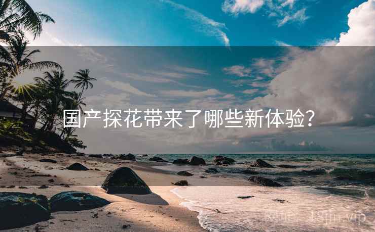 国产探花带来了哪些新体验？