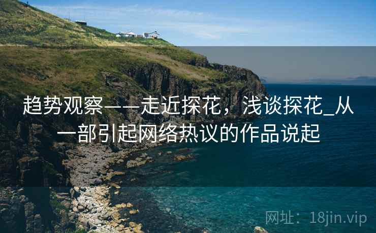趋势观察——走近探花，浅谈探花_从一部引起网络热议的作品说起