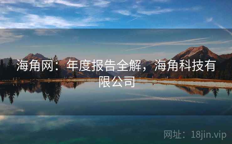 海角网：年度报告全解，海角科技有限公司