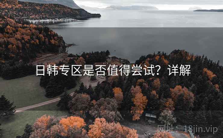 日韩专区是否值得尝试?详解 日韩专区是否值得尝试?详解