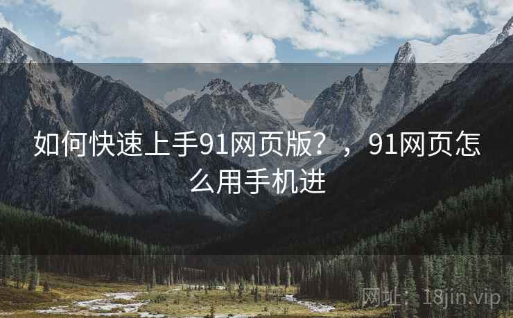 如何快速上手91网页版？，91网页怎么用手机进