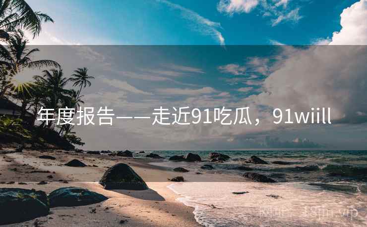 年度报告——走近91吃瓜,91wiill